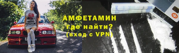 гашик Пересвет